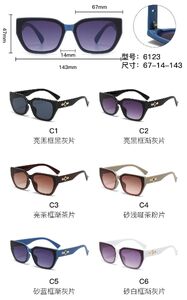 PC plastic sunglasses with metal hinge 6123W