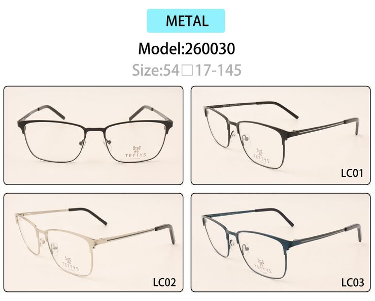 Metal eyeglasses frame for men with spring hinges 260030 (item in stock)