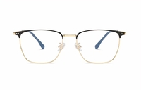 Metal ultrathin frames 90066