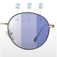 Photochromic glasses with blue light and UV protection 9642-GT