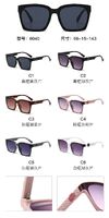 PC plastic sunglasses with metal hinge 6040W