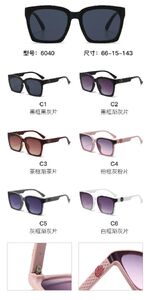 PC plastic sunglasses with metal hinge 6040W