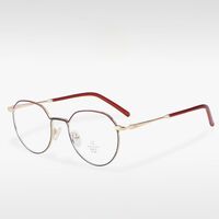 Metal frame MAMO with Blue Ray Cut protection lenses H5625