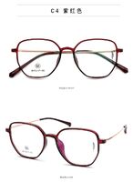 Оправа гибридная, титановый сплав + TR90 SANTA M8006