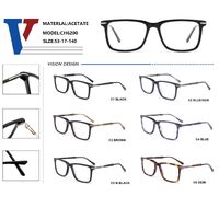 Plastic acetate + metal frame with spring hinges CH6200-DA