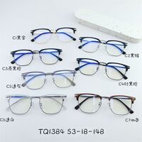 Hybrid frame, metal + TR90, with Blue Block protection SANTA TQ1384