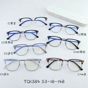 Hybrid frame, metal + TR90, with Blue Block protection SANTA TQ1384