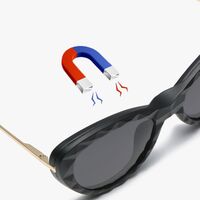 TR90/PC plastic frame + 5 polarized sun protection magnet clip-on set + leather bag El Dorado EL2352D