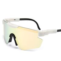 Polarized plastic TR90 sunglasses with UV400 protection 2948-GT