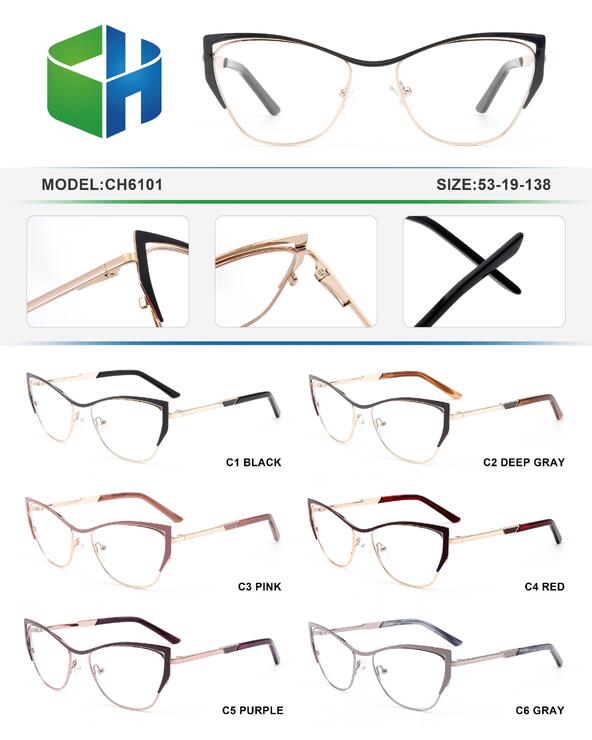 Оправа металлическая с флексом CH6101-DA