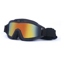 Safety shockproof tactical fog-proof with sponge goggles 蝗虫大集合-DX
