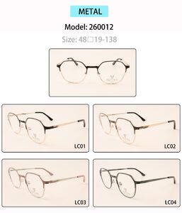 Metal eyeglasses frame for men 260012 (item in stock)