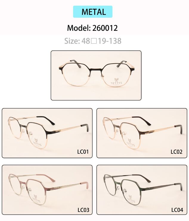 Metal eyeglasses frame for men 260012 (item in stock)