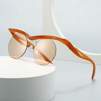 Plastic retro round sunglasses Elit LH168-EL