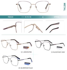 Оправа металлическая с флексом Big City 7026A20