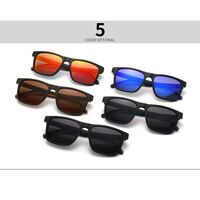 Plastic sunglasses Elit 2356-EL
