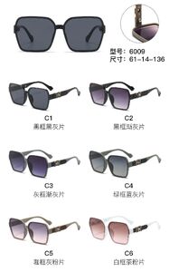 PC plastic sunglasses with metal hinge 6009W