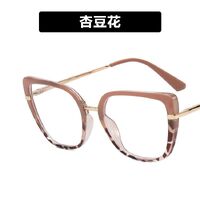 Combined (metal + TR90) glasses with blue light protection for women 95280-5042-PN