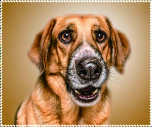 Салфетка для очков с рисунком, материал микрофибра, в индивидуальной упаковке ПЕС, 17,5 *14,5 см