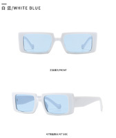 Sunglasses Elit modern 21010