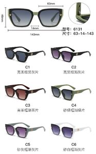 PC plastic sunglasses with metal hinge 6131W