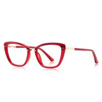 Plastic TR90 frames for glasses with Blue Ray Cut protection and flex hinges FOCUS FCS2220
