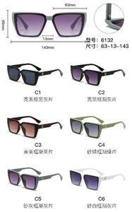 PC plastic sunglasses with metal hinge 6132W