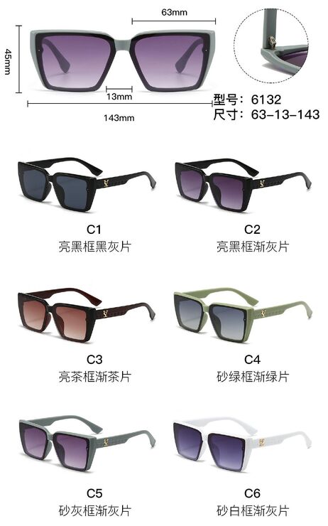 PC plastic sunglasses with metal hinge 6132W