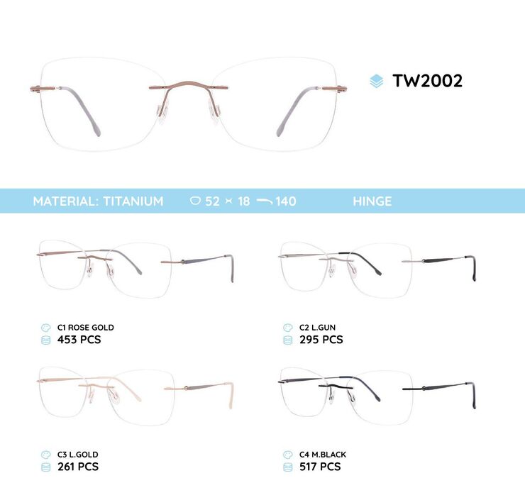 Titanium frames TW2002