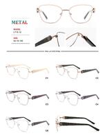 Metal frames for glasses with spring hinges Big City LF1613