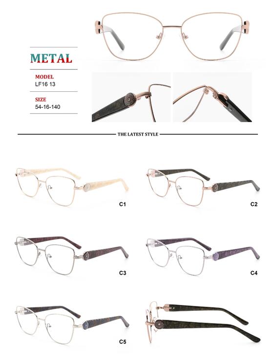 Metal frames for glasses with spring hinges Big City LF1613