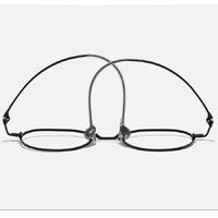 Metal pure titanium frame SANTA V704