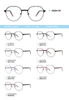 Metal frame with TR-90 temples HS04-14