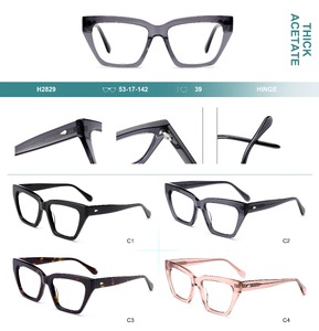 Plastic frames for glasses, thick acetate Big City H2829