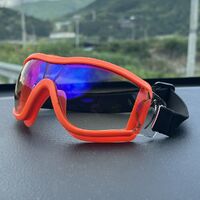 Safety shockproof sports childrens goggles S42炫彩-DX