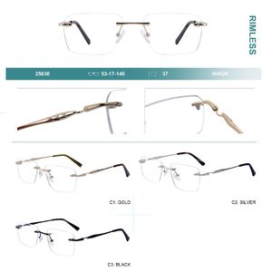 Оправа металлическая безободковая Big City 25630