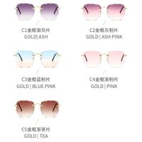 Metal rimless sunglasses with UV400 protection 2877-GT