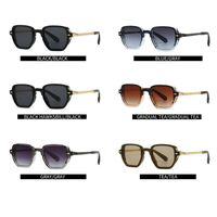 Plastic retro sunglasses Elit 6086-EL