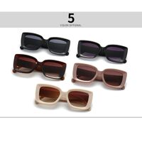 Plastic square sunglasses for women Elit 3005-EL