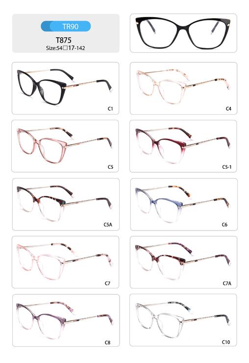 Plastic TR90 frame for women with spring hinges T875-DA