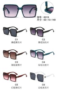 PC plastic sunglasses with metal hinge 6019W