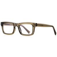 Plastic TR90 frames for glasses with Blue Ray Cut protection FOCUS FCS2193