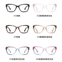 Plastic TR90 frame for glasses with Blue Ray Cut protection and spring hinges More LS006