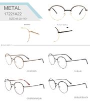 Оправа металлическая коллекция Big City 17221A22