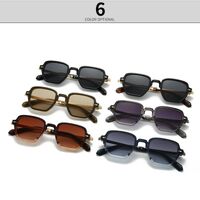 Plastic retro sunglasses Elit 6086-EL