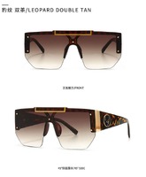 Sunglasses Elit in modern style 1736