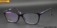 Plastic frames for glasses TR-90 + CA material (flex hinges) FOCUS FCS012