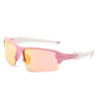 Polarized plastic sunglasses with UV400 protection 2975-GT