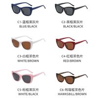 Plastic frame with flex + polarized sun protection magnet clip-on El Dorado EL2349D