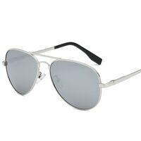 Polarized metal sunglasses with UV400 protection 3025L-2-GT